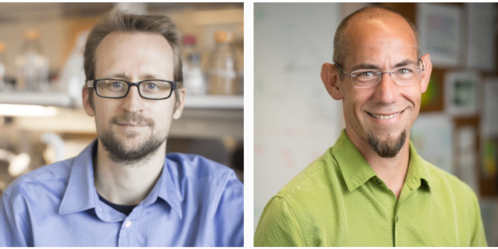 Tobias Doerr and Brian Lazzaro